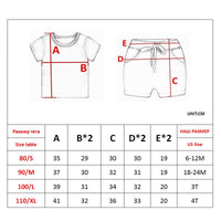 Toddler Boys Clothes Children Clothing Cartoon Summer Clothing Top+Pant 2Pcs  Cute Kids Casual Boys Sport Suits Outfit 1-2-3-4Y